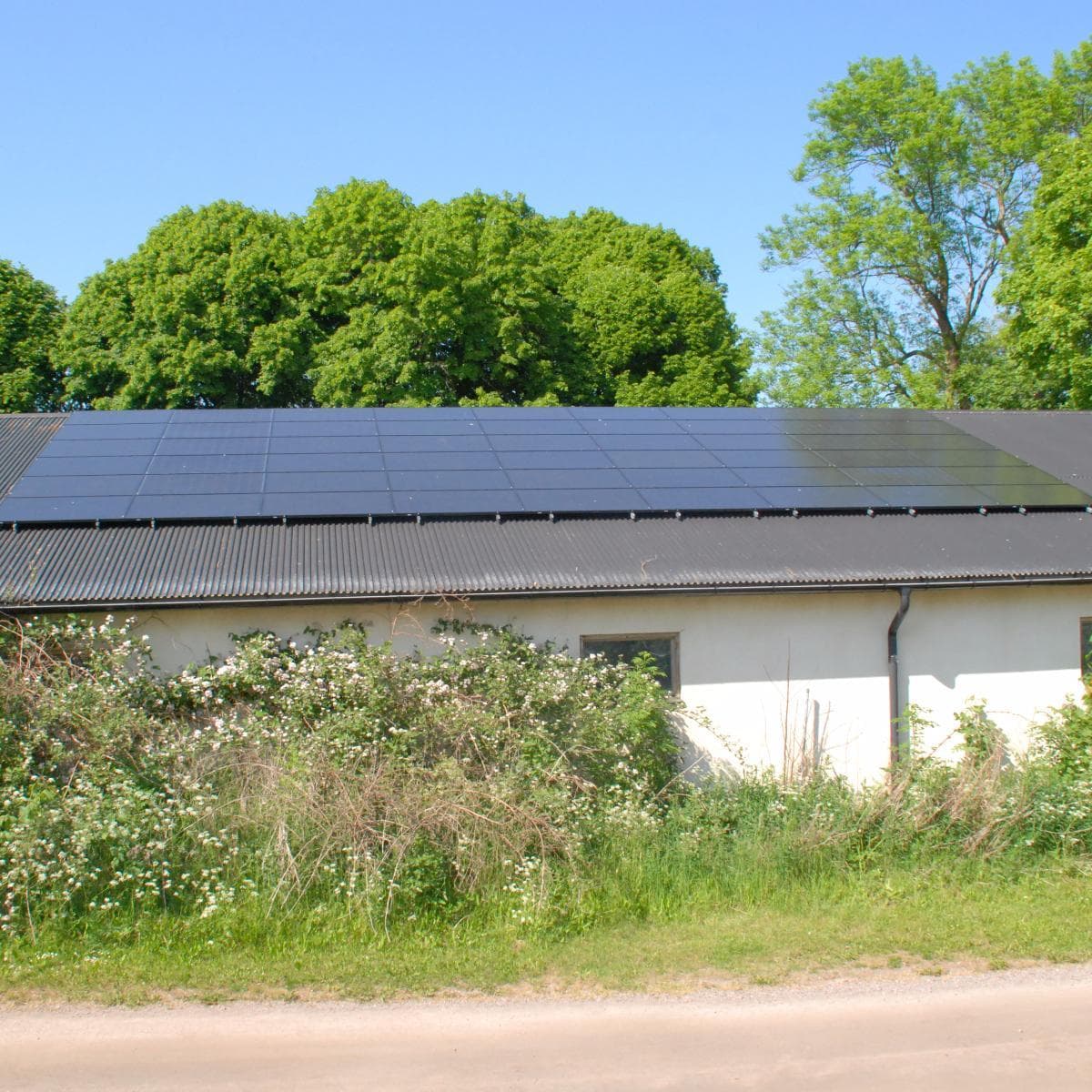 Tidigare grisfarm i Rinkebyberg med monokristallina solpaneler på taket