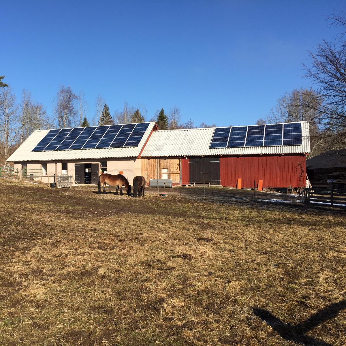 Ladugårdar med solpaneler på taken, omgivna av ett gräsfält. Två hästar betar i förgrunden under en klarblå himmel.