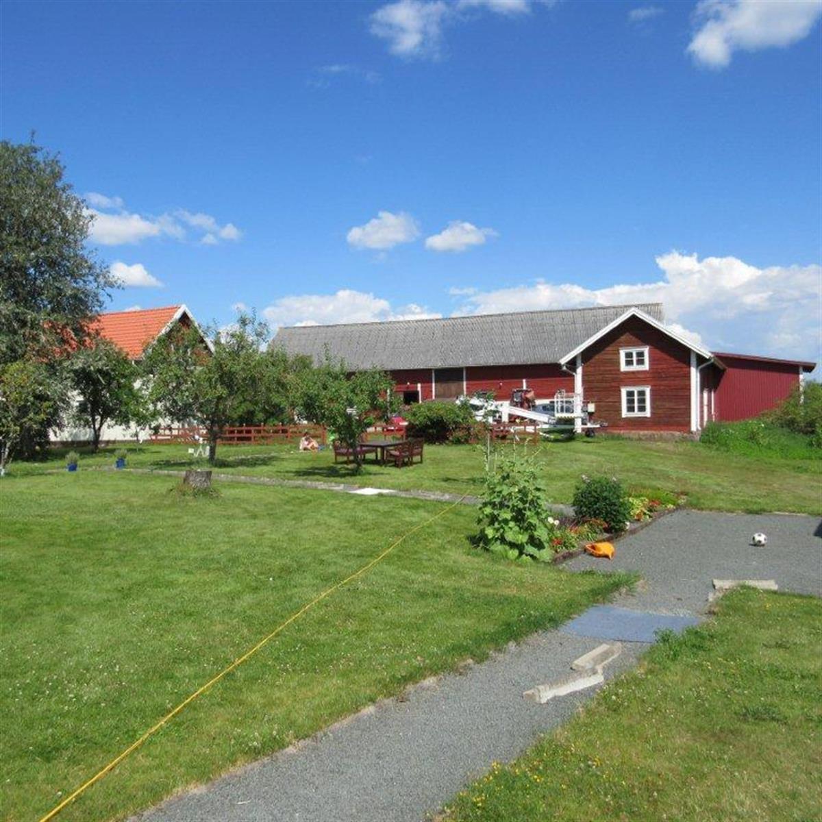 En gräsbevuxen gård med en stenstig leder till två röda hus under en blå himmel med moln. Träd och växter ligger utspridda i området.
