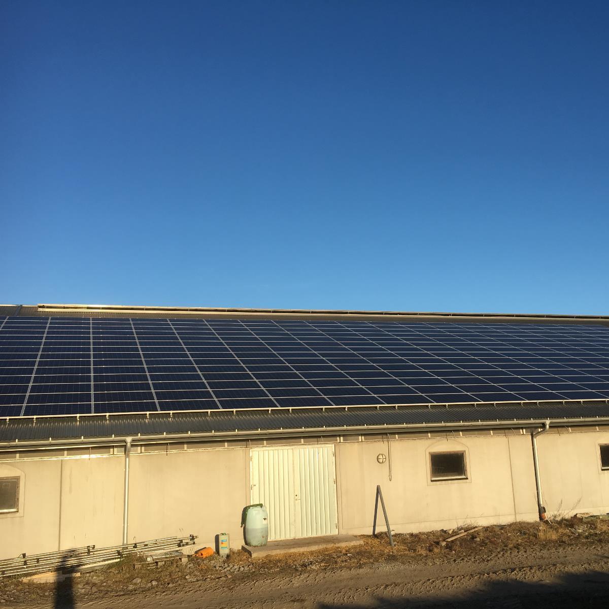 Stora solpaneler installerade på taket av en beige industribyggnad under en klarblå himmel.